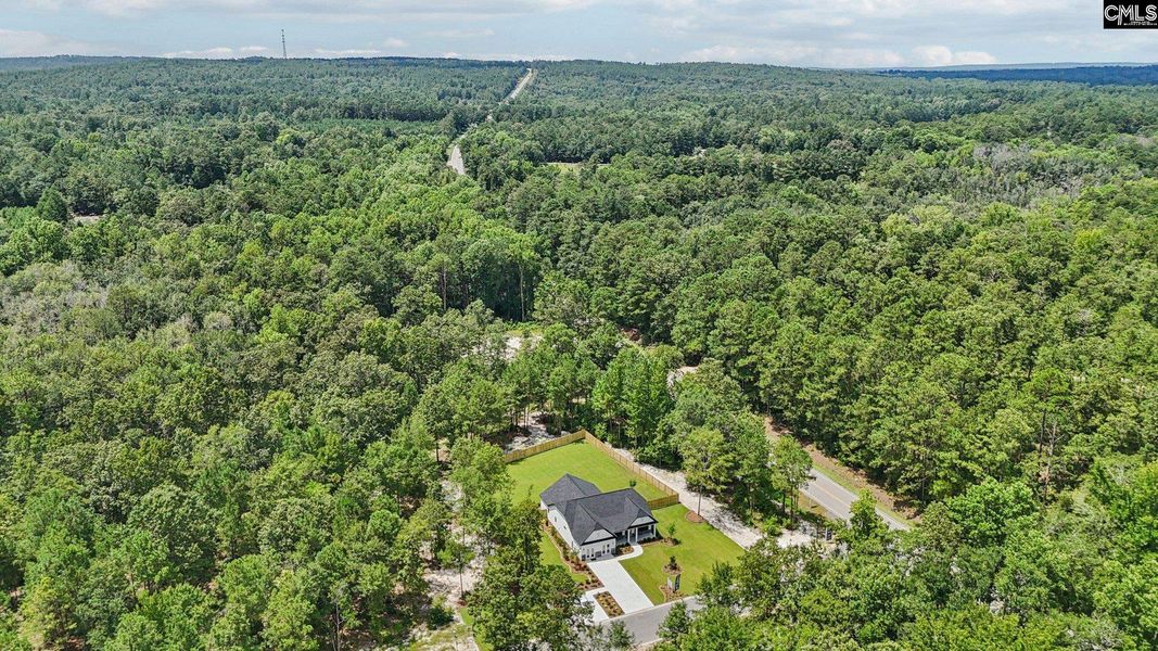 Natural landscape and outdoor views near Raglins Creek in Lugoff (Image 37).