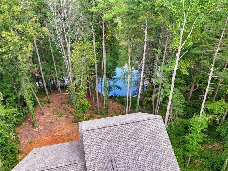 Natural landscape and outdoor views near  in Ball Ground (Image 35).
