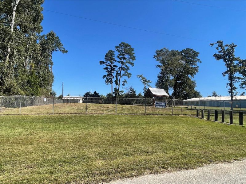 Natural landscape and outdoor views near  in Willis (Image 4).