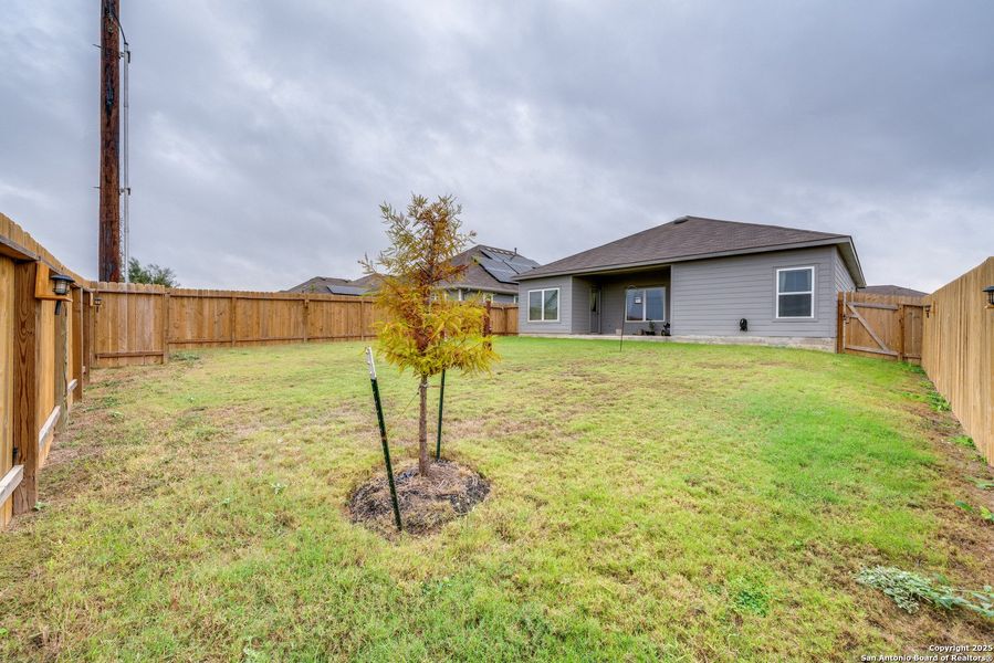 Exterior details and patio area of a home in Legend Pond, New Braunfels (Image 23).