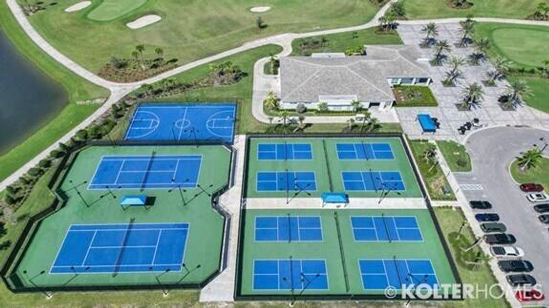 All Courts All Courts