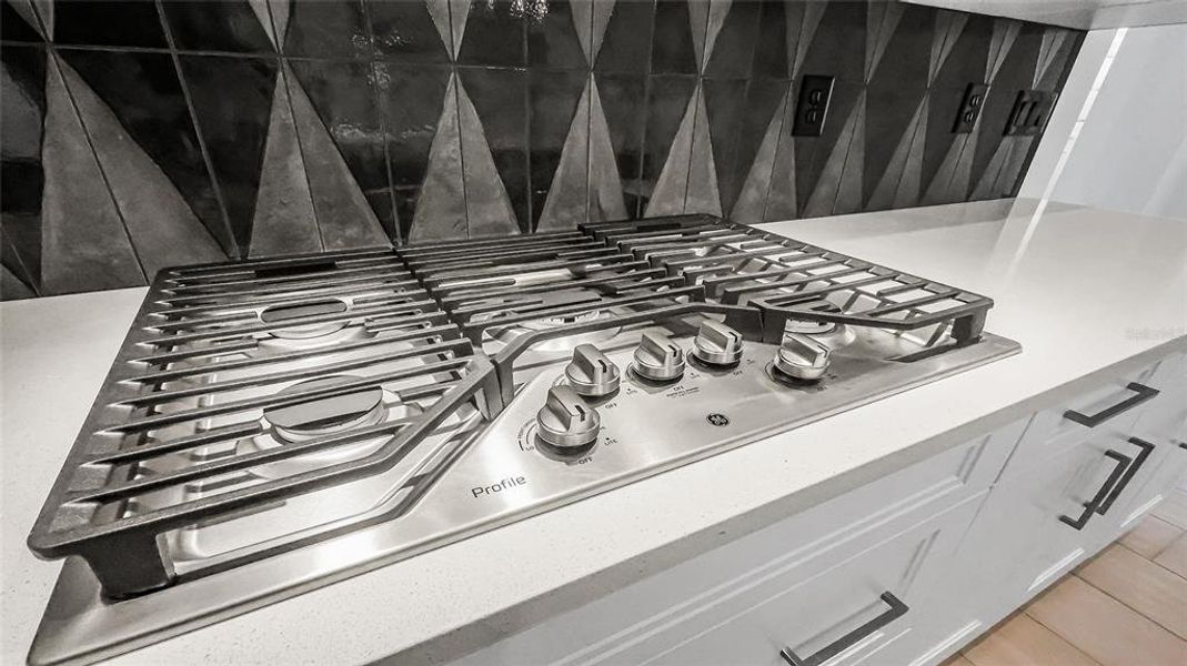 Close-up of interior finishes inside a home in Cresswind at Hammock Oaks, Lady Lake (Image 18).