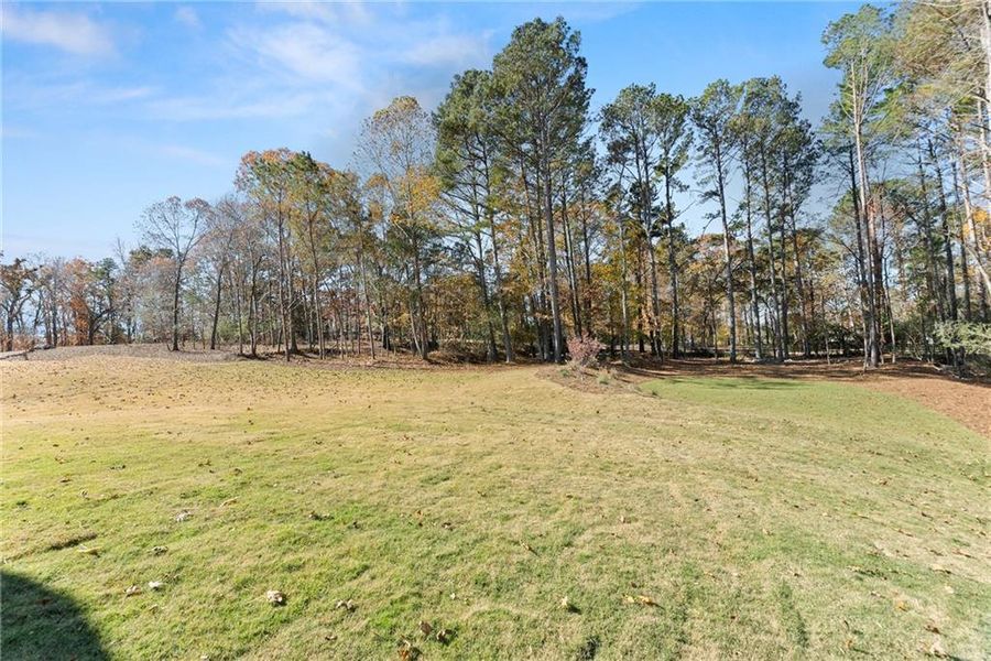 Natural landscape and outdoor views near  in Gainesville (Image 68).
