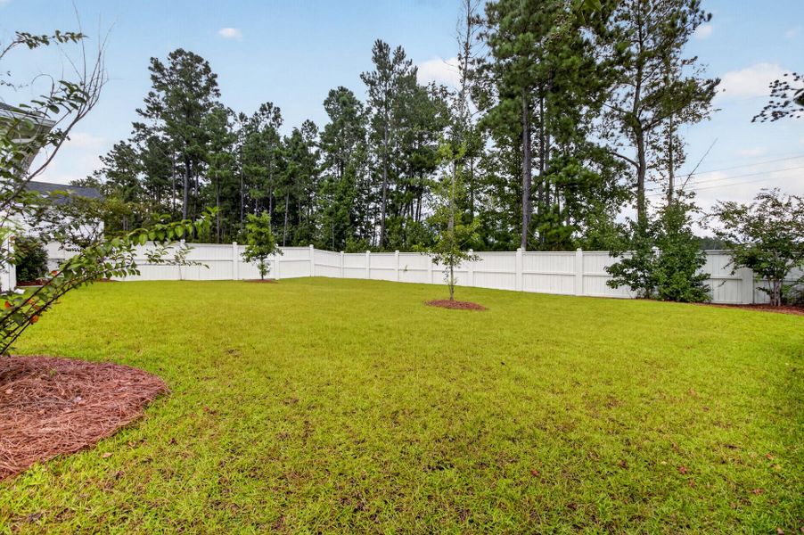 Natural landscape and outdoor views near  in Summerville (Image 66).