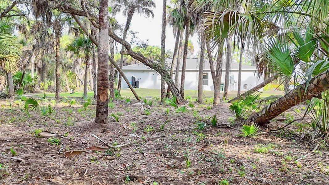 Natural landscape and outdoor views near  in North Port (Image 42).