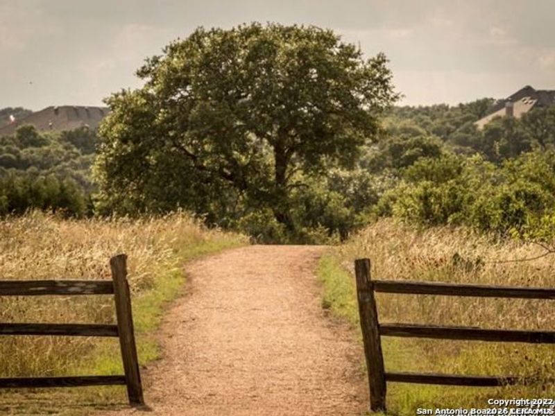 Natural landscape and outdoor views near  in New Braunfels (Image 14).