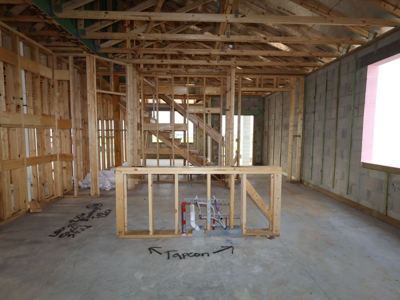 Framing Framing