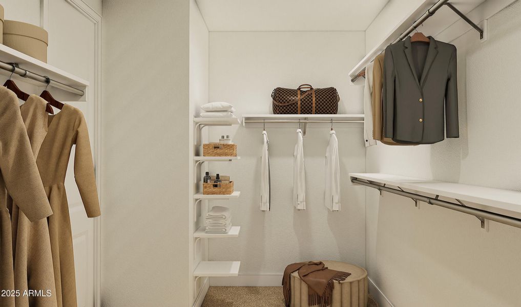 186683_Primary WIC_Viviendo_Vienne_Class 186683_Primary WIC_Viviendo_Vienne_Class