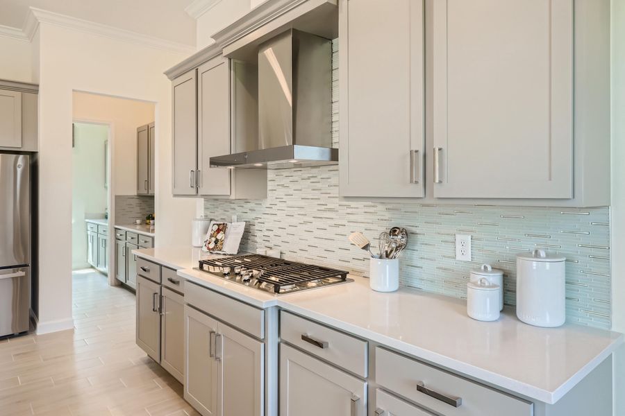 gas cook top_decorative hood_2of2_F1