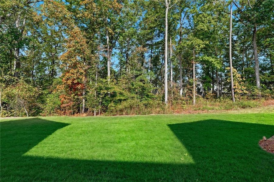 Natural landscape and outdoor views near  in Cumming (Image 71).