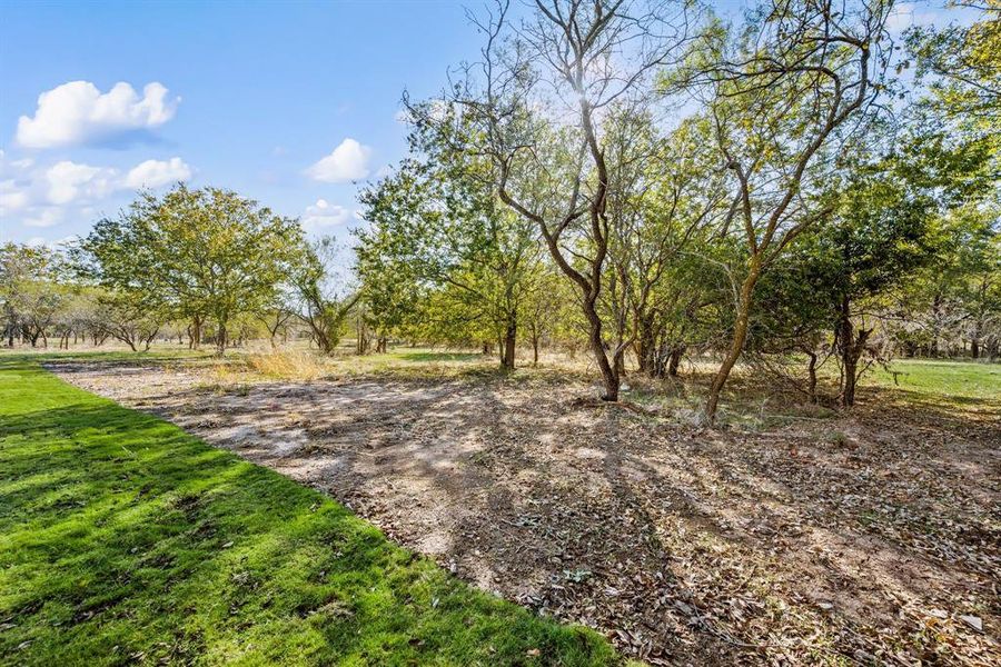 Natural landscape and outdoor views near Rolling Creek Ranch in Aledo (Image 38).