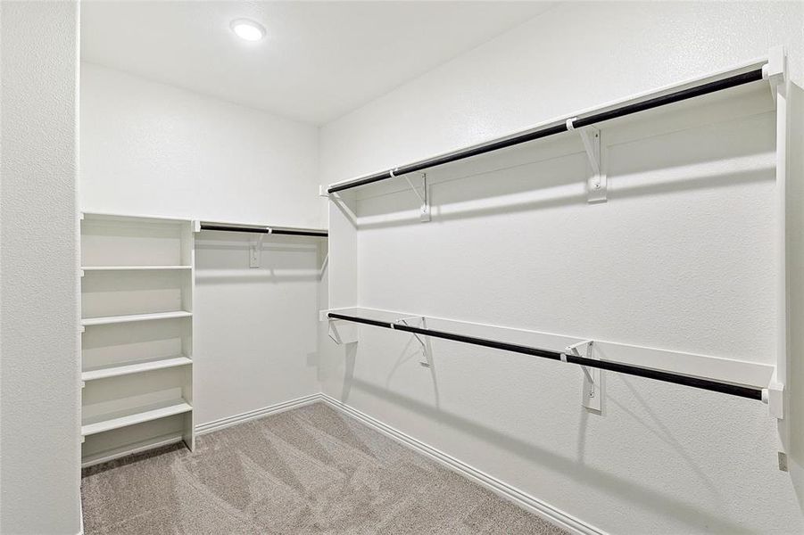 Spacious closet featuring carpet flooring