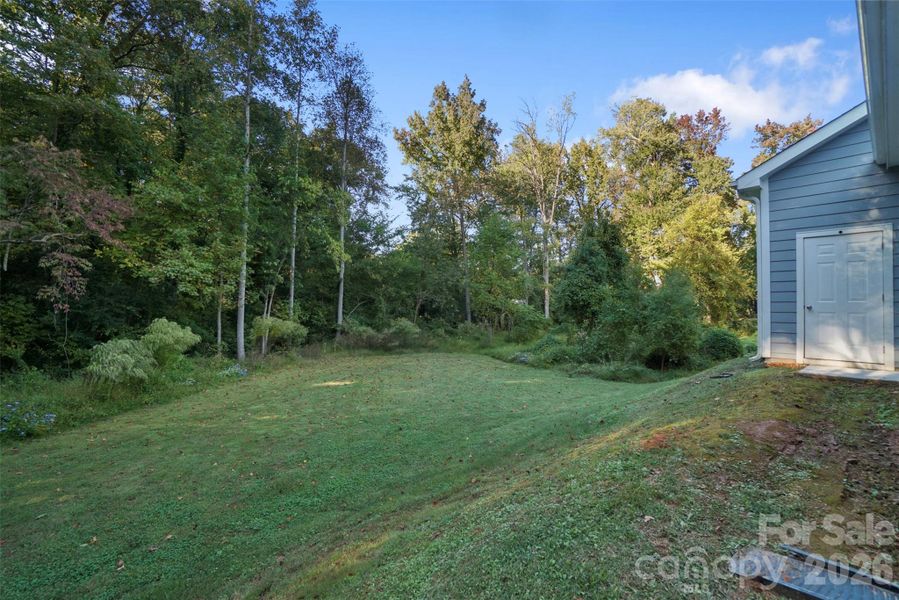 Natural landscape and outdoor views near  in Charlotte (Image 36).