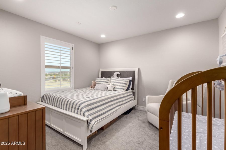 26 - Mariposa Grande 14045