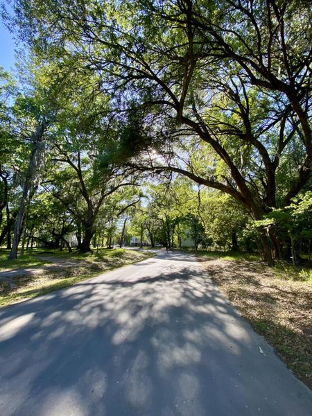 Natural landscape and outdoor views near Waterloo Estates in Johns Island (Image 35).
