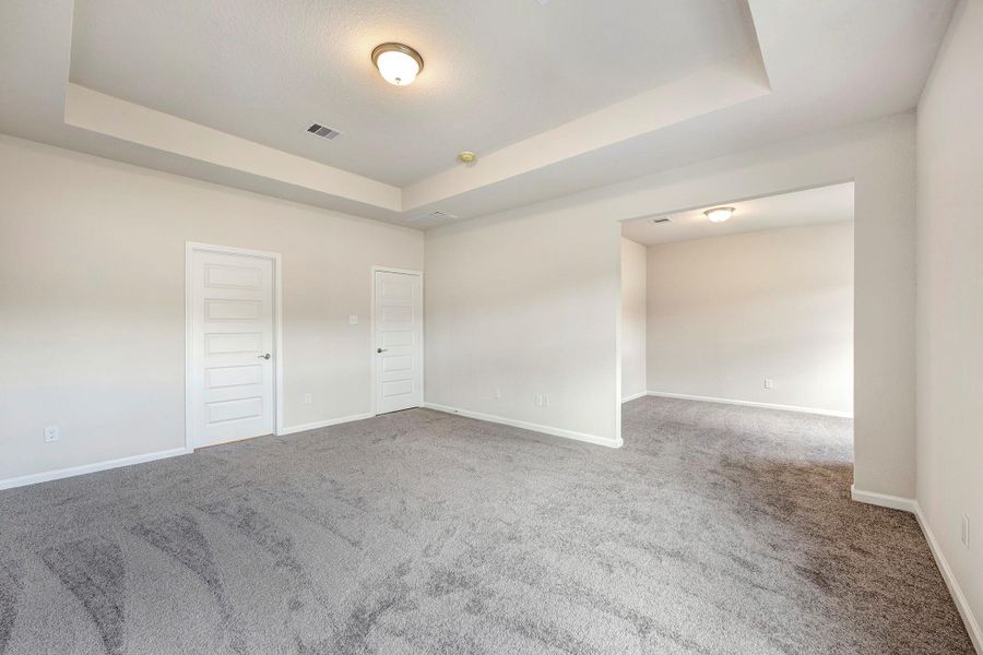 The James- Primary Bedroom Suite with Tray Ceiling The James- Primary Bedroom Suite with Tray Ceiling