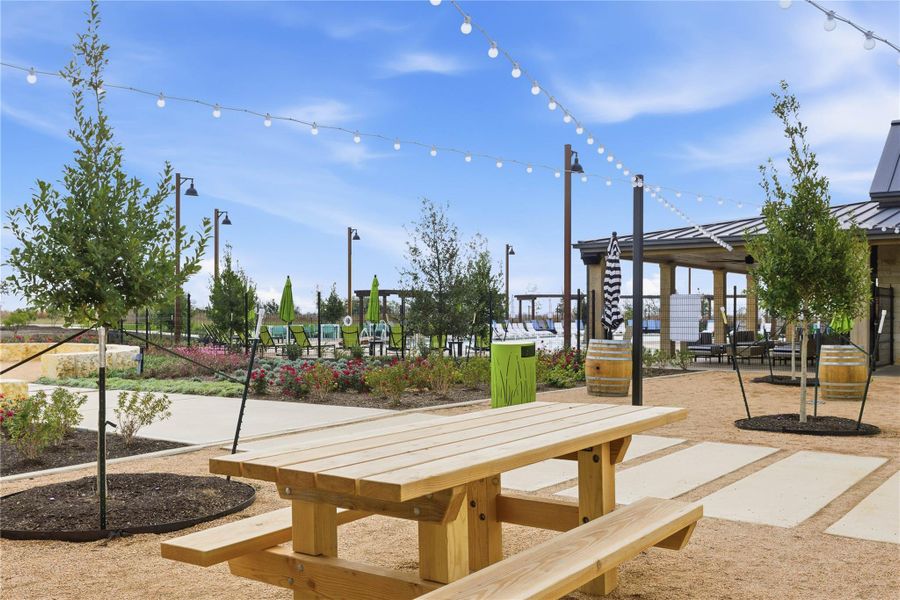 Community amenities in Flora, Hutto (Image 11).