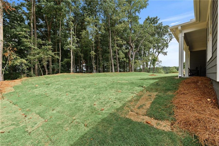 Exterior details and patio area of a home in Watermist at Mirror Lake, Villa Rica (Image 23).
