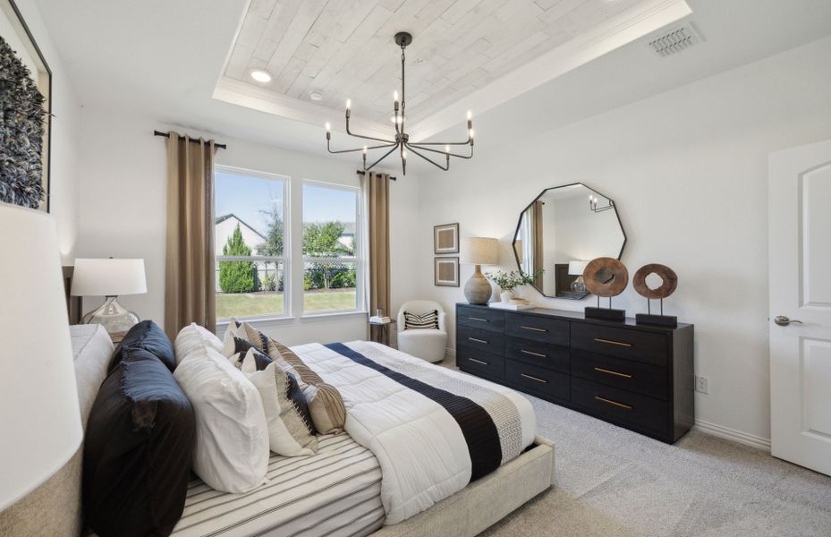 Owner's suite with tray ceiling