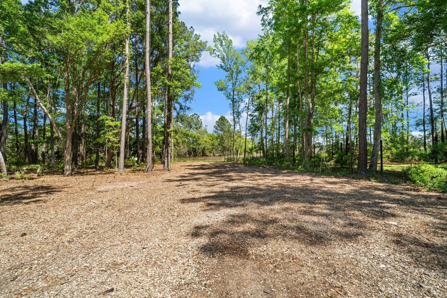 Natural landscape and outdoor views near  in Awendaw (Image 62).
