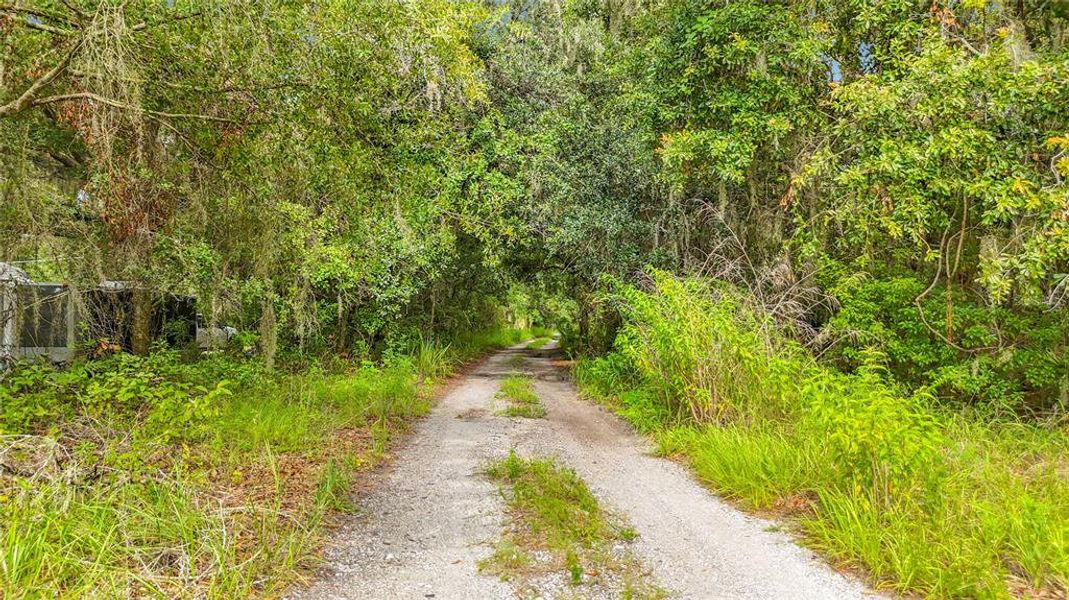 Natural landscape and outdoor views near  in Lithia (Image 37).