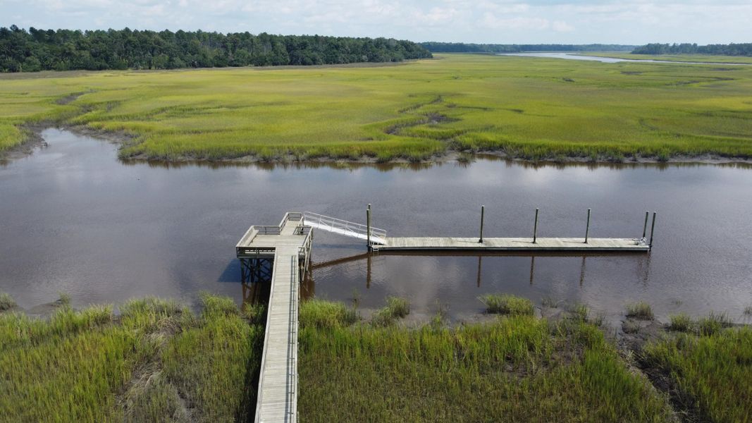 Natural landscape and outdoor views near Rivers Reach in Yemassee (Image 13).