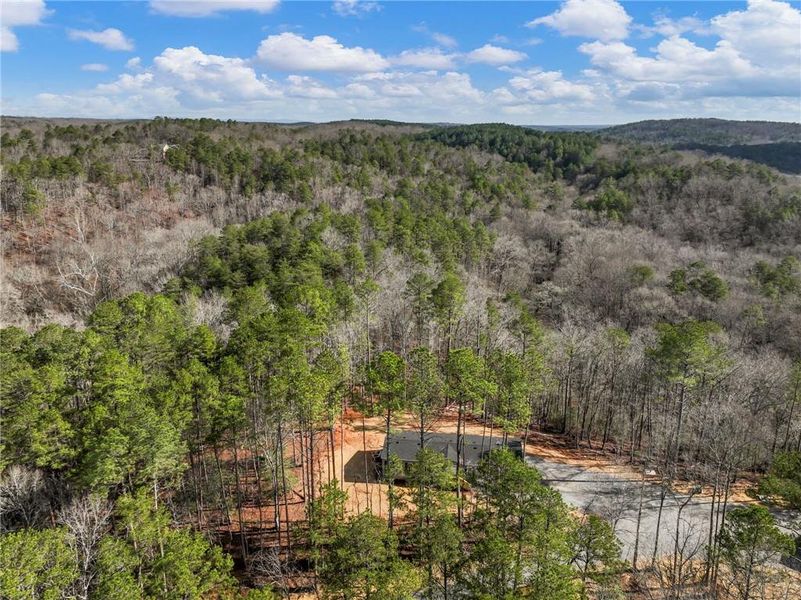 Natural landscape and outdoor views near  in Lula (Image 38).