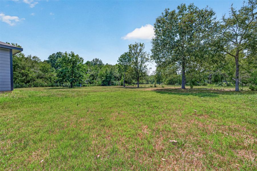 Natural landscape and outdoor views near  in Montgomery (Image 33).