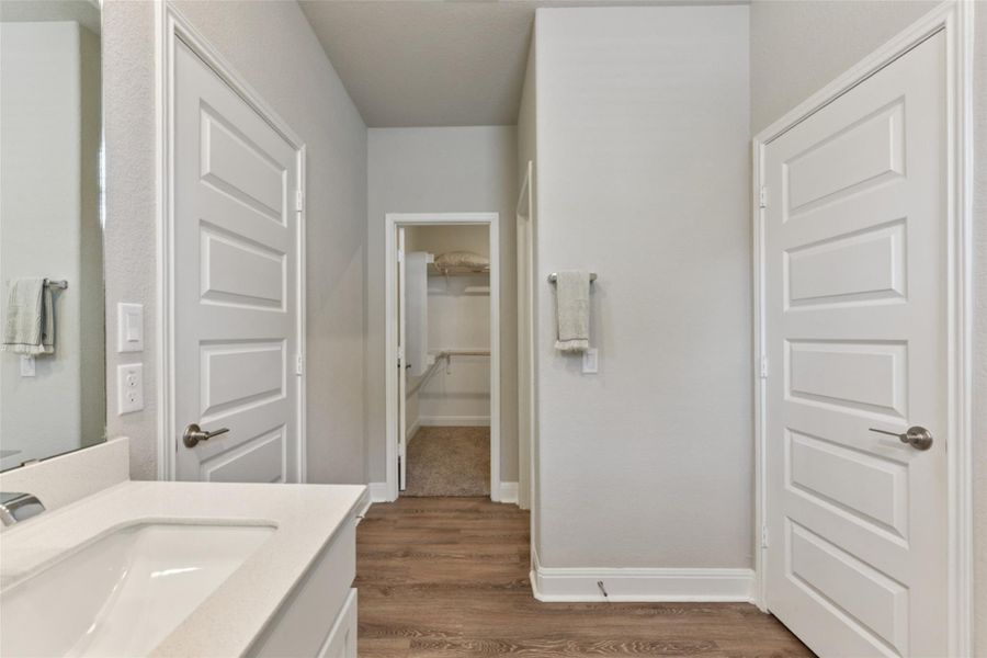 Bathroom with wood finished floors, vanity, and a walk in closet Bathroom with wood finished floors, vanity, and a walk in closet