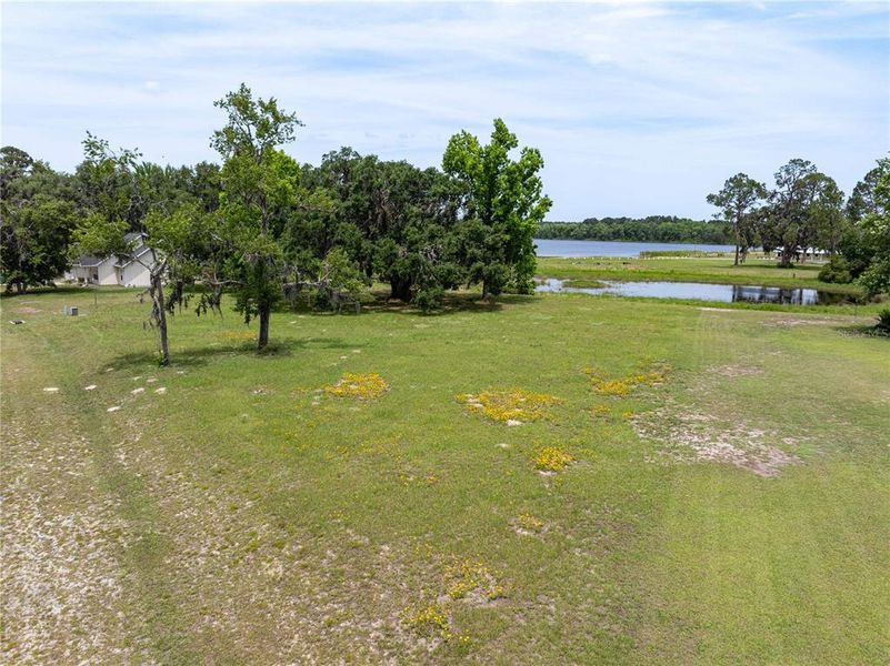 Natural landscape and outdoor views near  in Live Oak (Image 24).