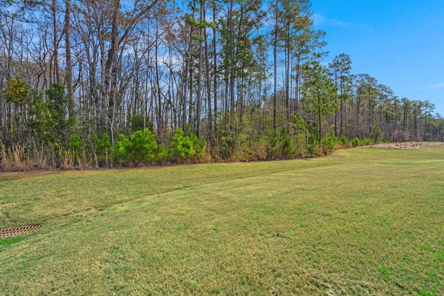 Natural landscape and outdoor views near Summerwind Crossing at Lakes of Cane Bay in Summerville (Image 39).