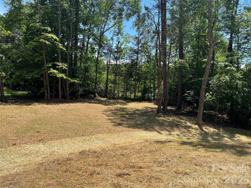 Natural landscape and outdoor views near  in Statesville (Image 20).
