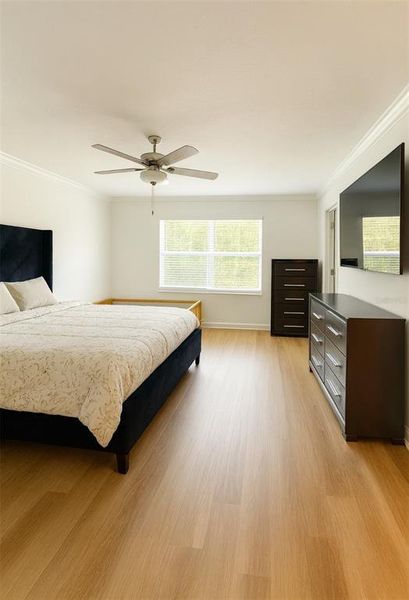 Furnished interior view inside a new home in , Land O' Lakes (Image 6).