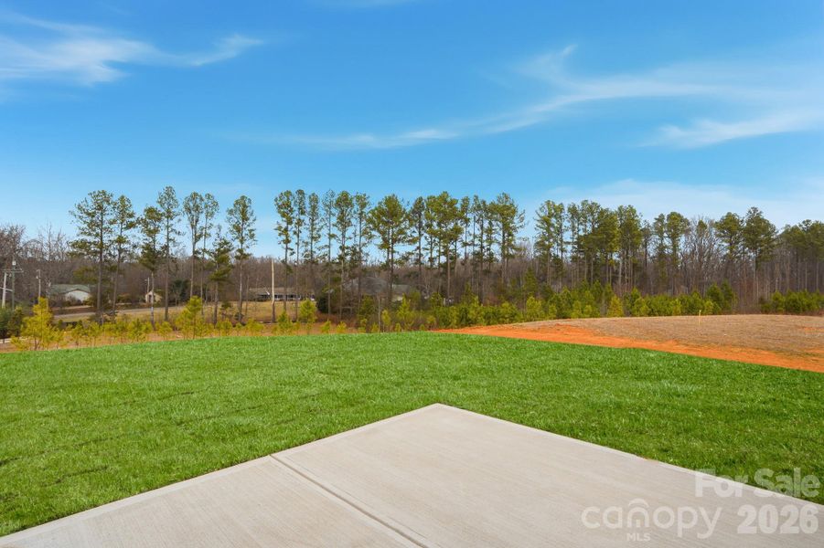 Natural landscape and outdoor views near Blair Place in Monroe (Image 39).