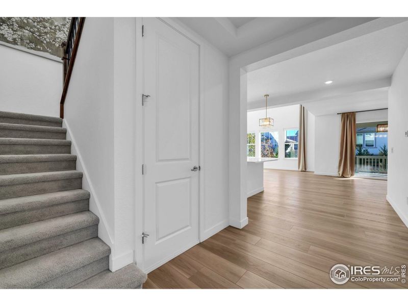 Large entry Large entry