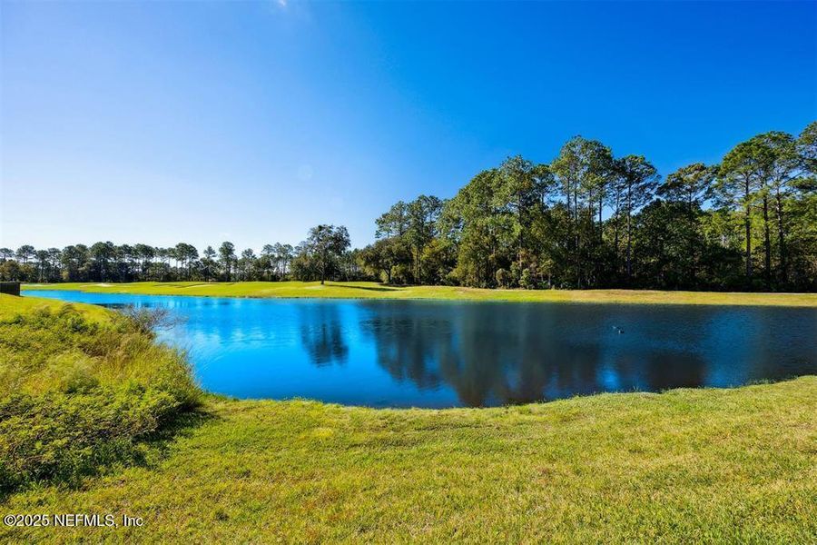 Natural landscape and outdoor views near Amelia National in Fernandina Beach (Image 48). Natural landscape and outdoor views near Amelia National in Fernandina Beach (Image 48).