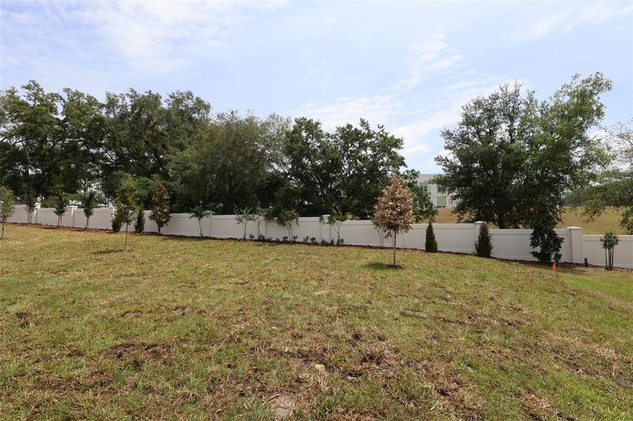Natural landscape and outdoor views near Wolf Lake Ranch in Apopka (Image 13).