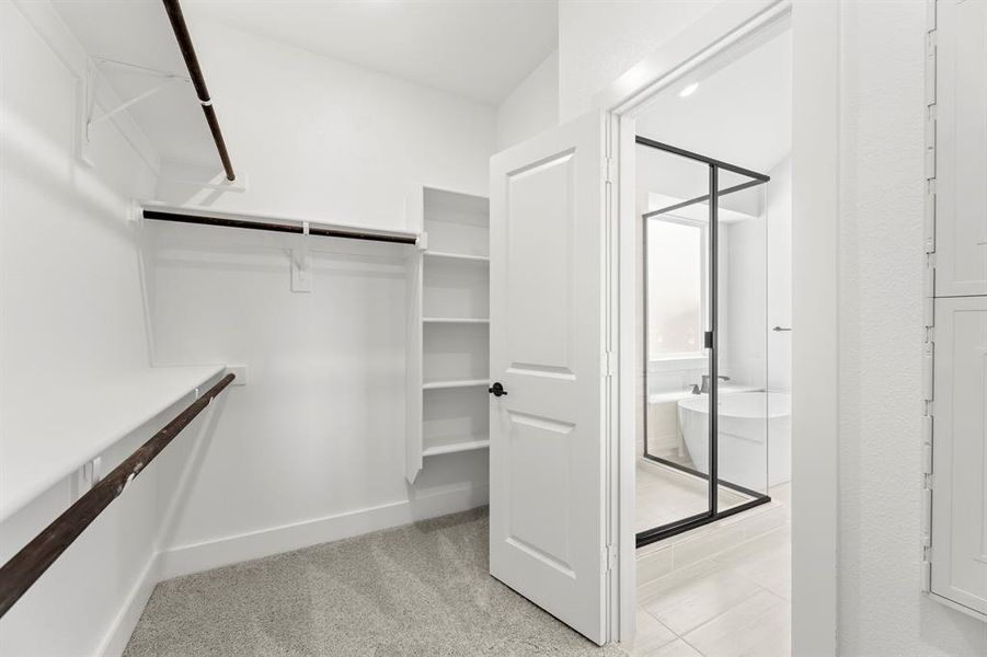 713 Wilderness Point - Closet