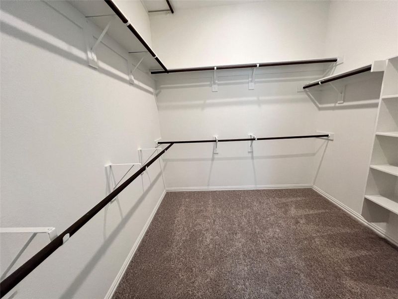 Walk in closet featuring dark colored carpet