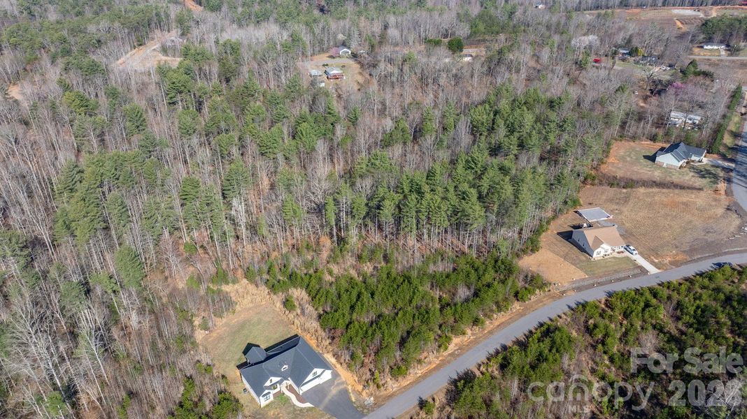 Natural landscape and outdoor views near  in Morganton (Image 27).