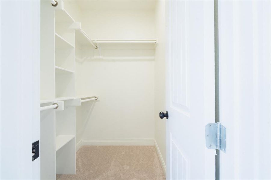 Spacious closet with carpet flooring