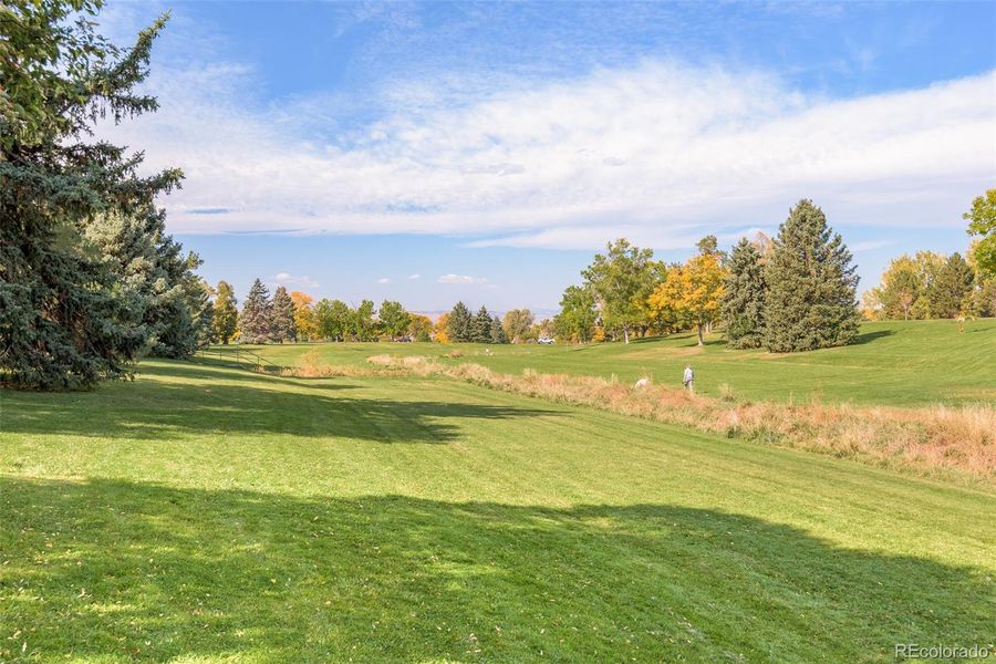 Natural landscape and outdoor views near  in Denver (Image 34).
