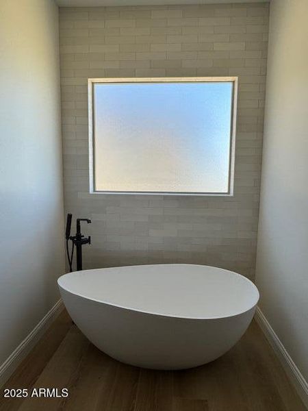 Freestanding Tub