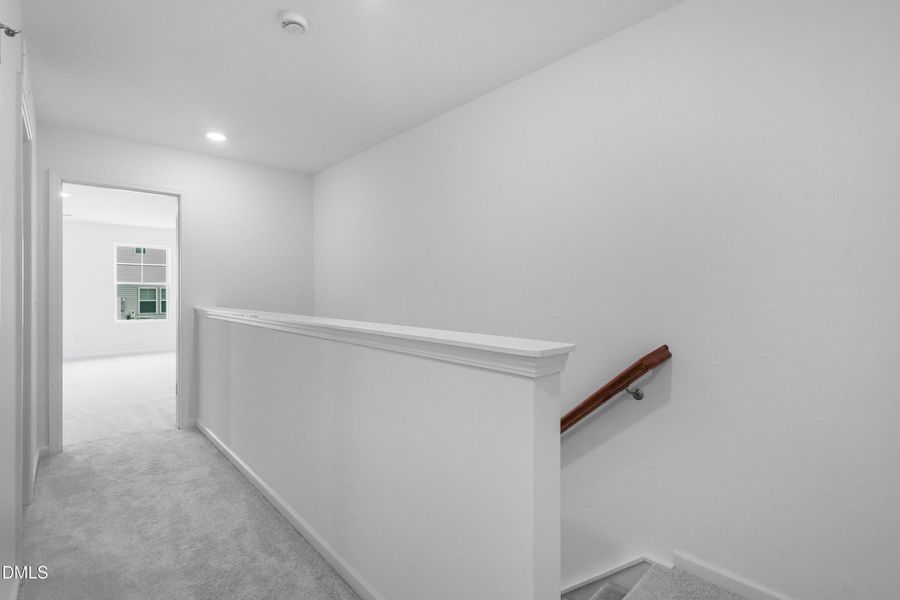 SUN_CaitlinCrossing_Pic_Cameron-27