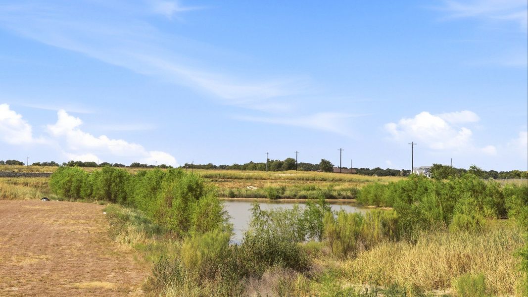Natural landscape and outdoor views near Hunters Glen in Jarrell (Image 30). Natural landscape and outdoor views near Hunters Glen in Jarrell (Image 30).