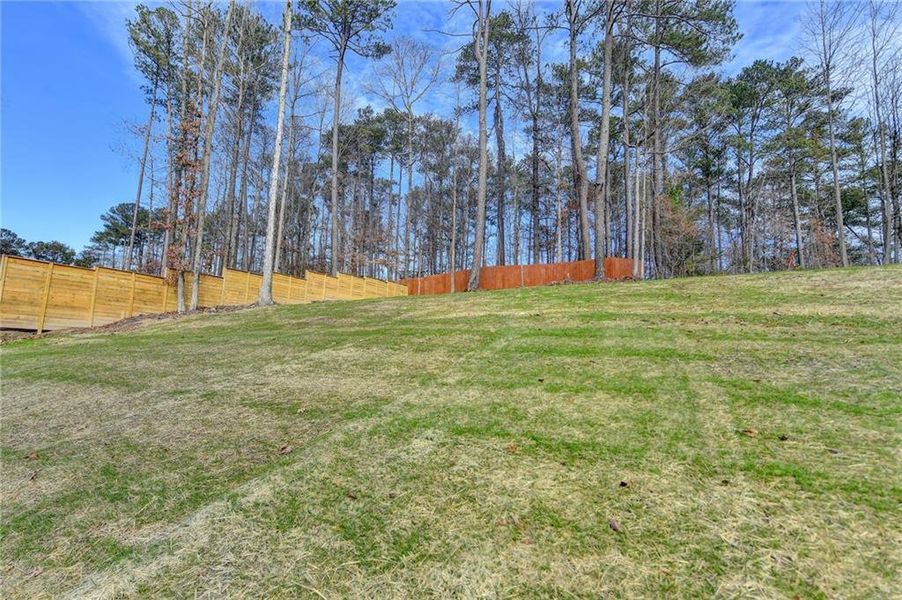 Natural landscape and outdoor views near  in Snellville (Image 63).