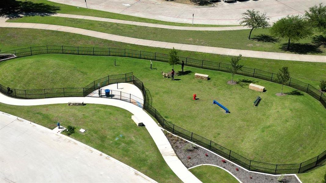 Community Photo - Dog Park