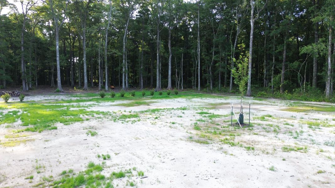 Natural landscape and outdoor views near in Ridgeville (Image 36). Natural landscape and outdoor views near in Ridgeville (Image 36).