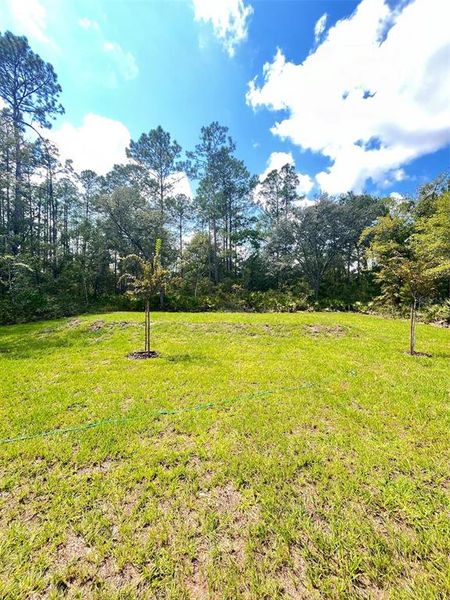 Exterior details and patio area of a home in Flagler Estates, Hastings (Image 2).