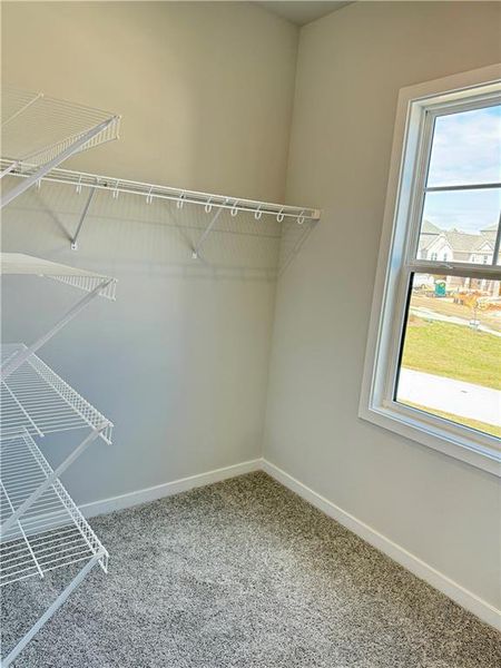 Spacious, unfurnished interior of a new home in Ponderosa Farms Estates, Gainesville (Image 45).